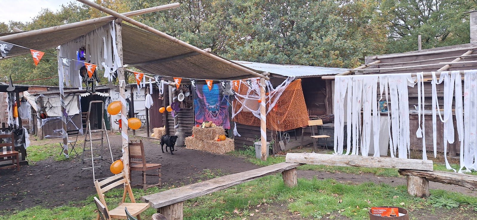 Halloween wandeling 2025 - foto 2