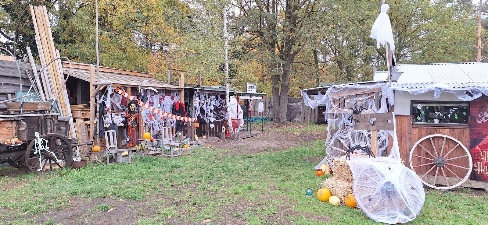 Halloween wandeling 2025 - foto 3