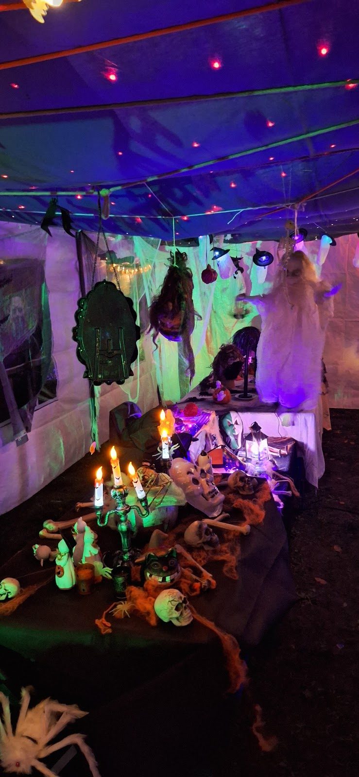 Halloween wandeling 2025 - foto 22
