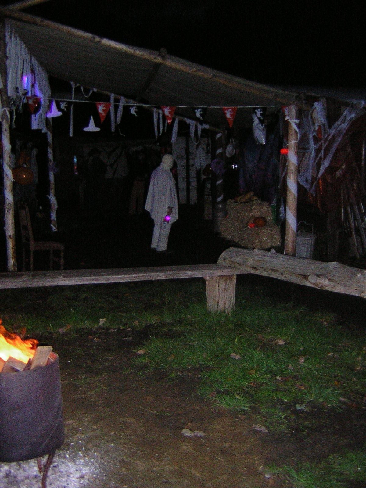 Halloween wandeling 2025 - foto 26